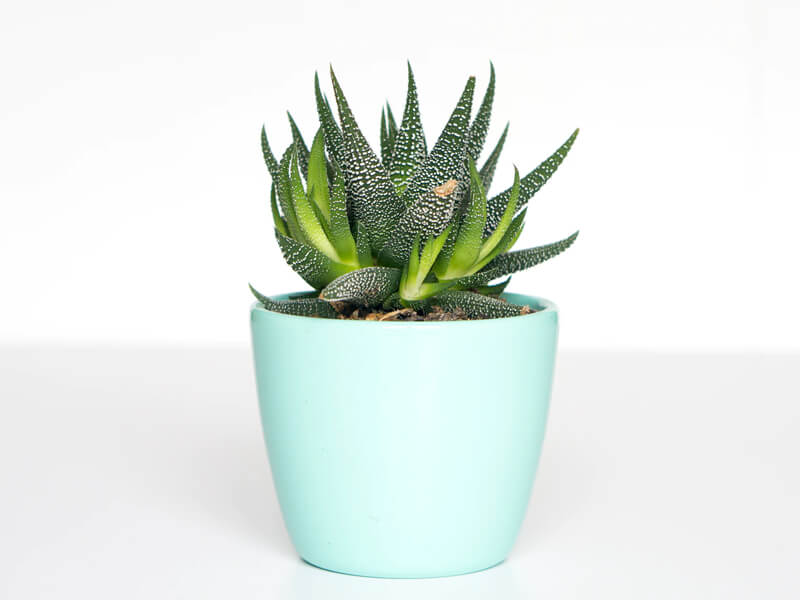 CRM система для управления клиентами